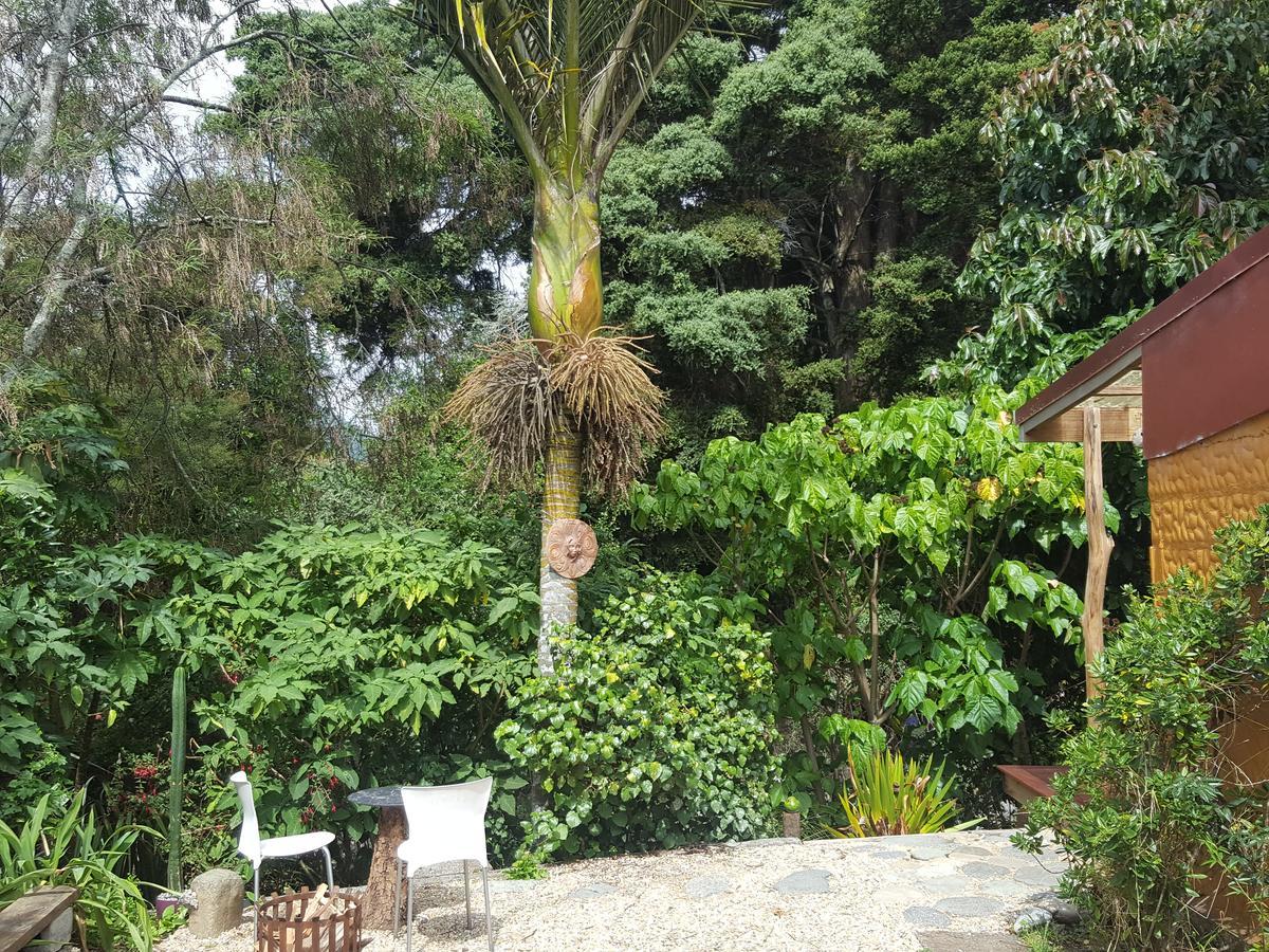 Chalet Karaka Takaka Extérieur photo